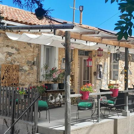 Sur La Bonnefooi Bed & Breakfast Prades-sur-Vernazobre Luaran gambar