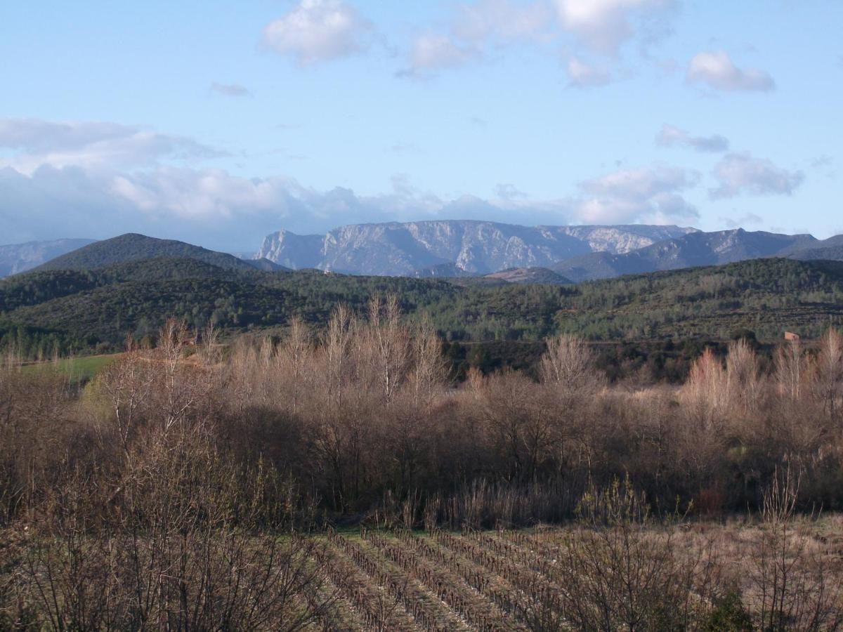 Sur La Bonnefooi Bed & Breakfast Prades-sur-Vernazobre Luaran gambar